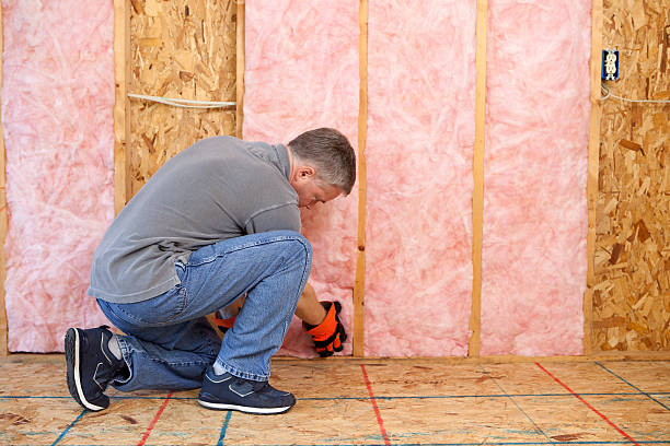 Professional Insulation Services in Colby, KS